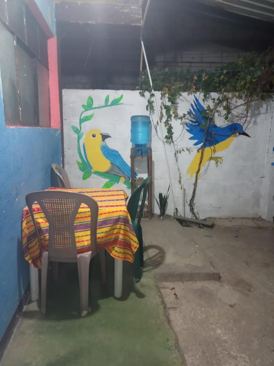 パナハチェルCasa Zopeアパートメント エクステリア 写真